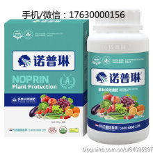 散裝食品的興衰與轉(zhuǎn)型 在傳統(tǒng)與現(xiàn)代之間尋求平衡